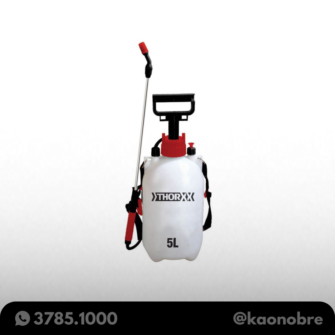 Kaonobre.com.br 2025 02 25t095430.587