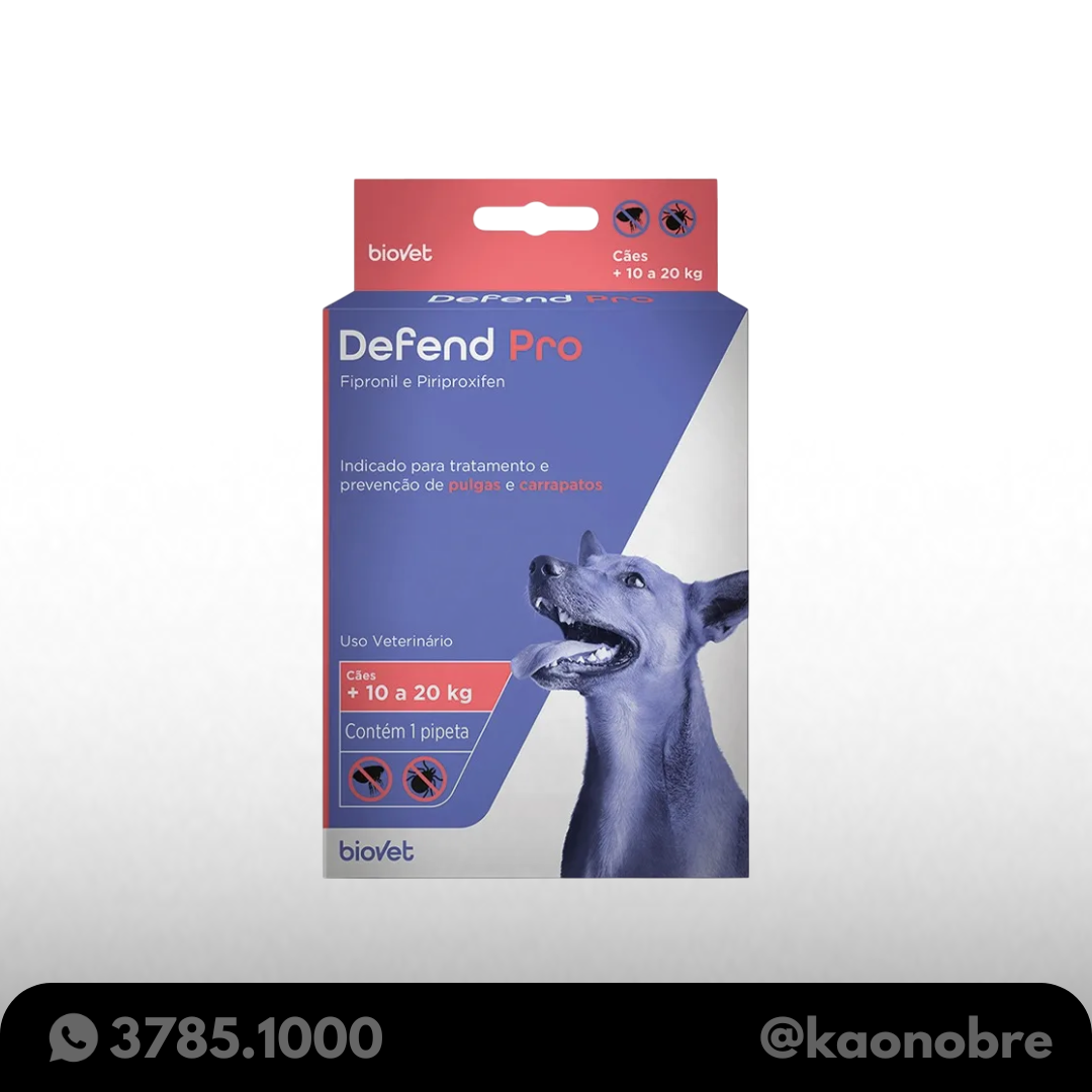 Kaonobre.com.br   2025 08 04t180153.292