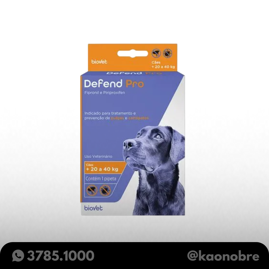 Kaonobre.com.br   2025 08 04t180101.208
