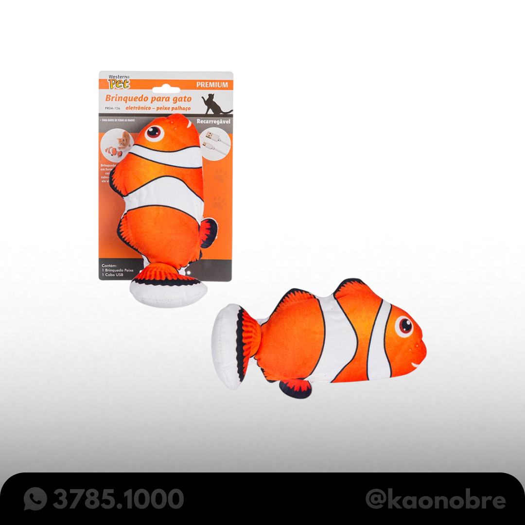 Kaonobre.com.br   2025 02 17t174020.154