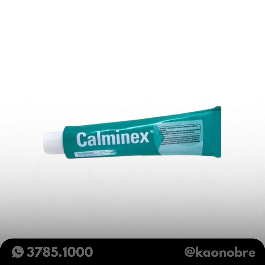 Kaonobre.com.br   2025 02 19t144249.549