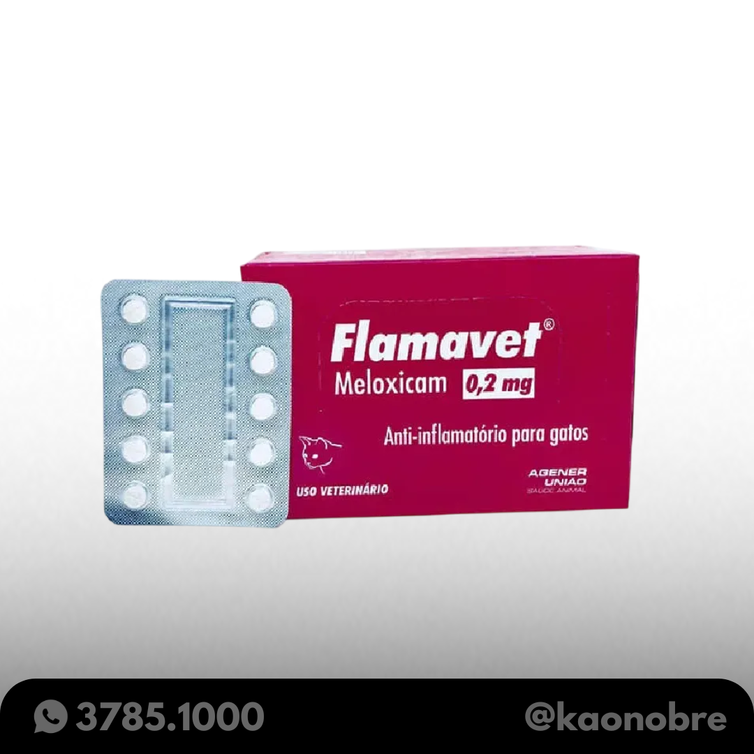Kaonobre.com.br   2025 02 19t142532.692