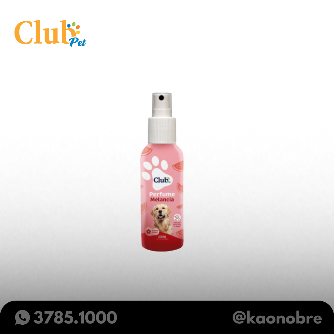 Kaonobre.com.br   2025 02 19t112419.466
