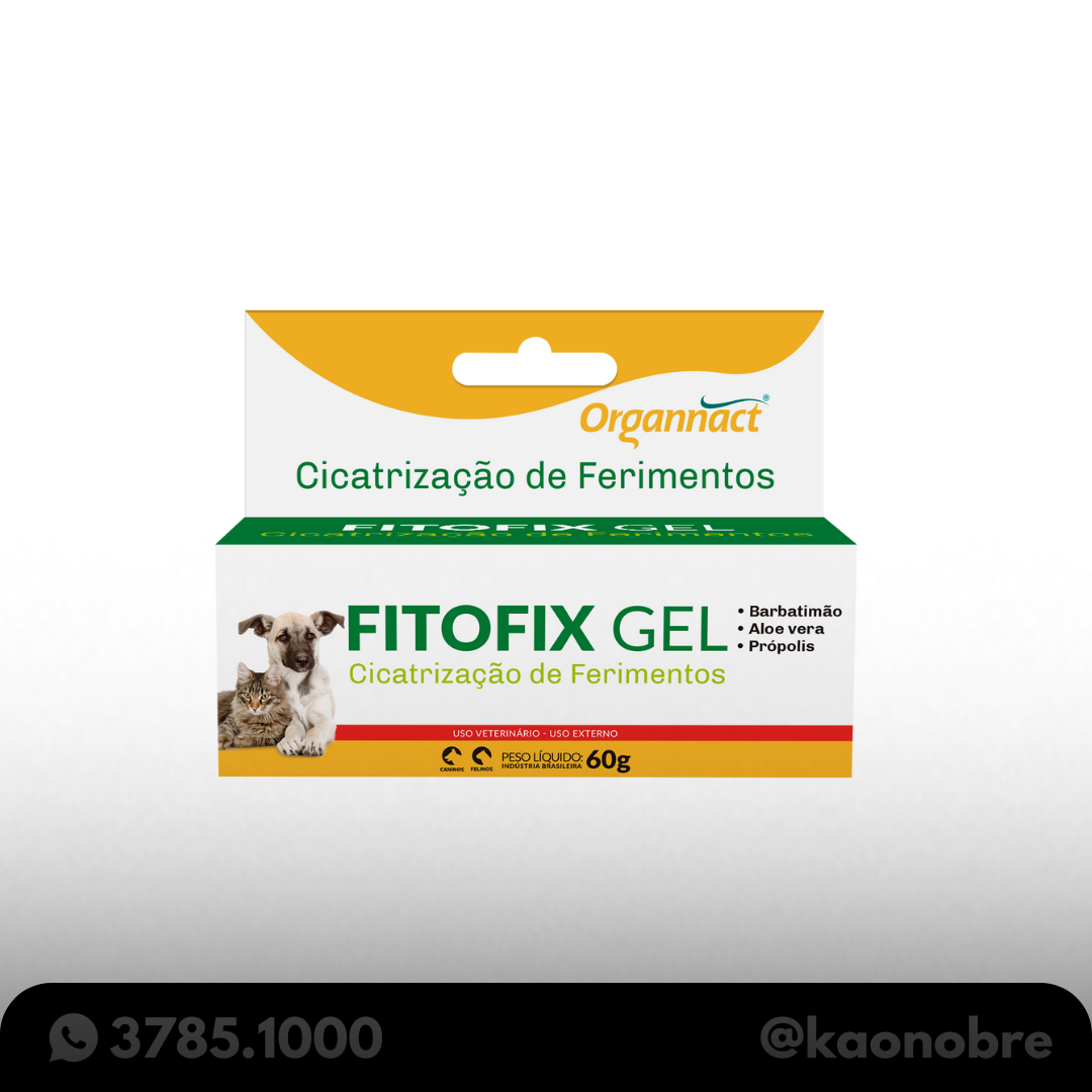 Kaonobre.com.br   2025 02 17t151626.117