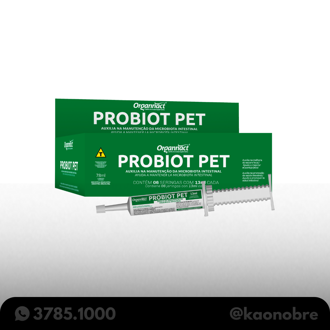 Kaonobre.com.br   2025 02 17t185926.839