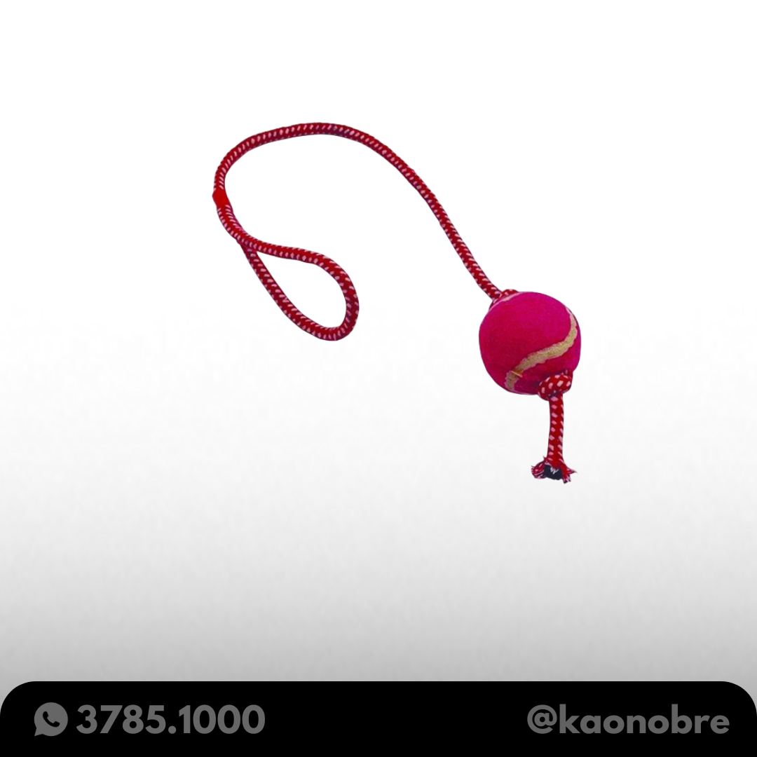 Kaonobre.com.br  27 