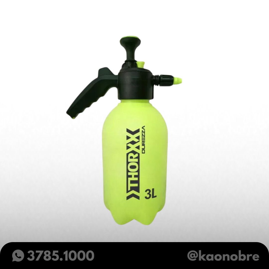 Kaonobre.com.br   2025 02 25t100906.115