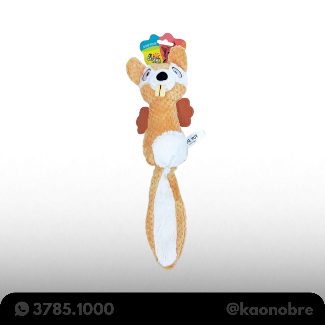 Kaonobre.com.br   2025 02 17t183914.012