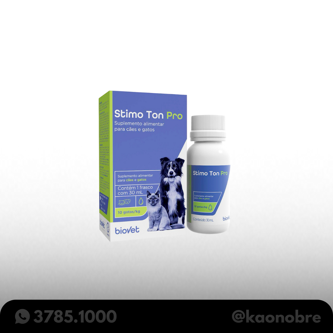 Kaonobre.com.br   2025 02 17t153937.682