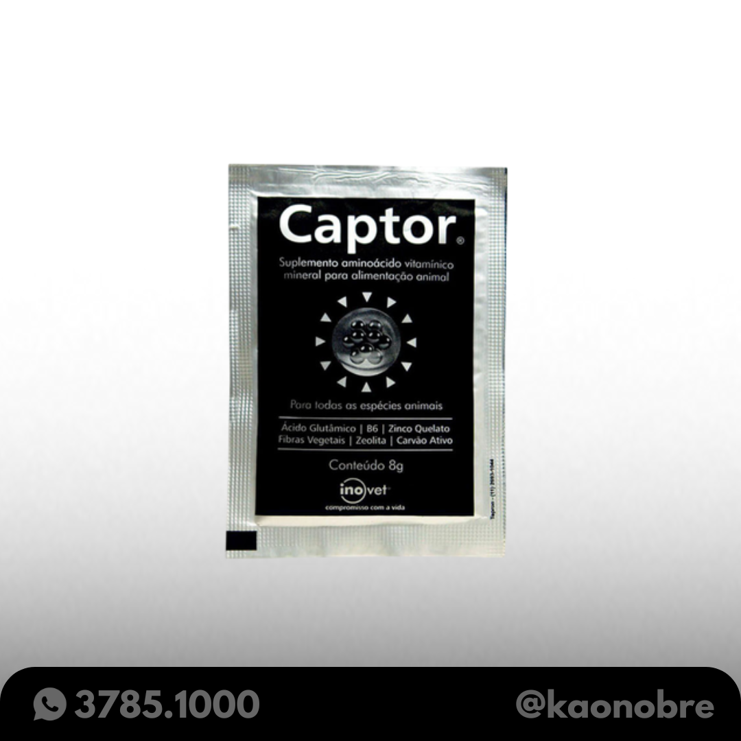 Kaonobre.com.br 2025 02 19t142903.551