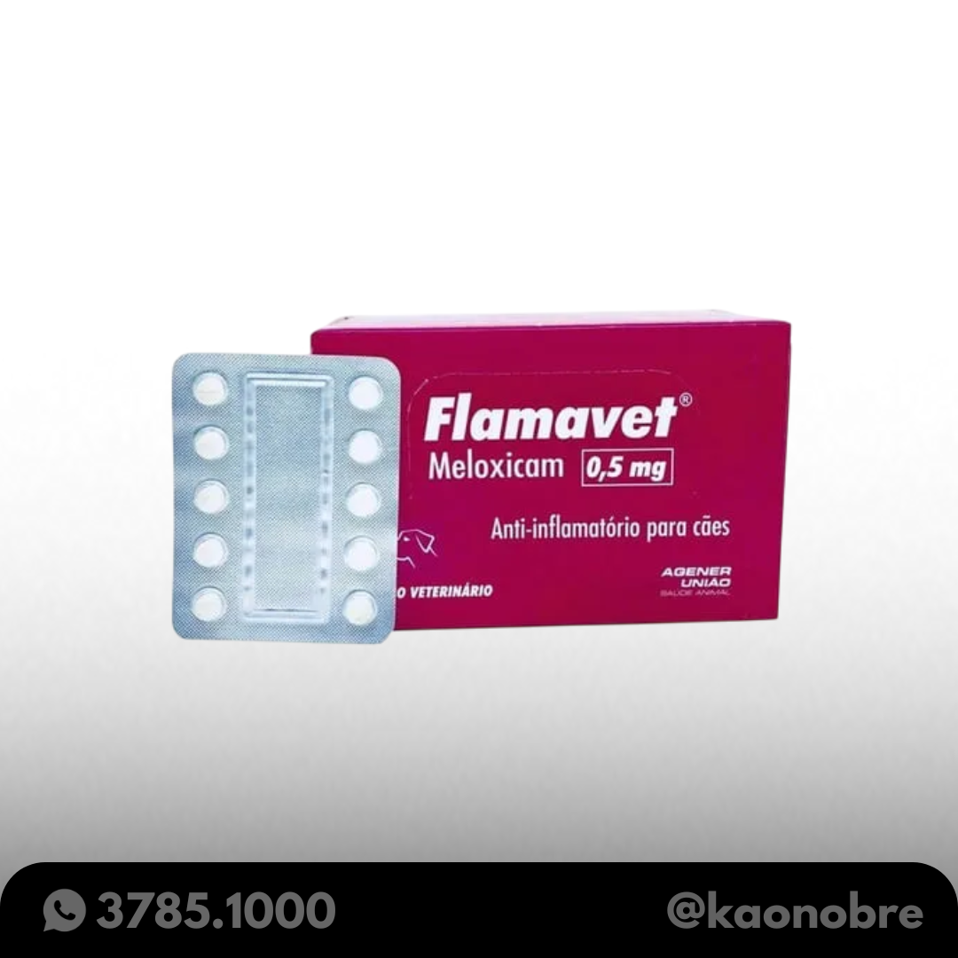 Kaonobre.com.br   2025 02 19t142328.566