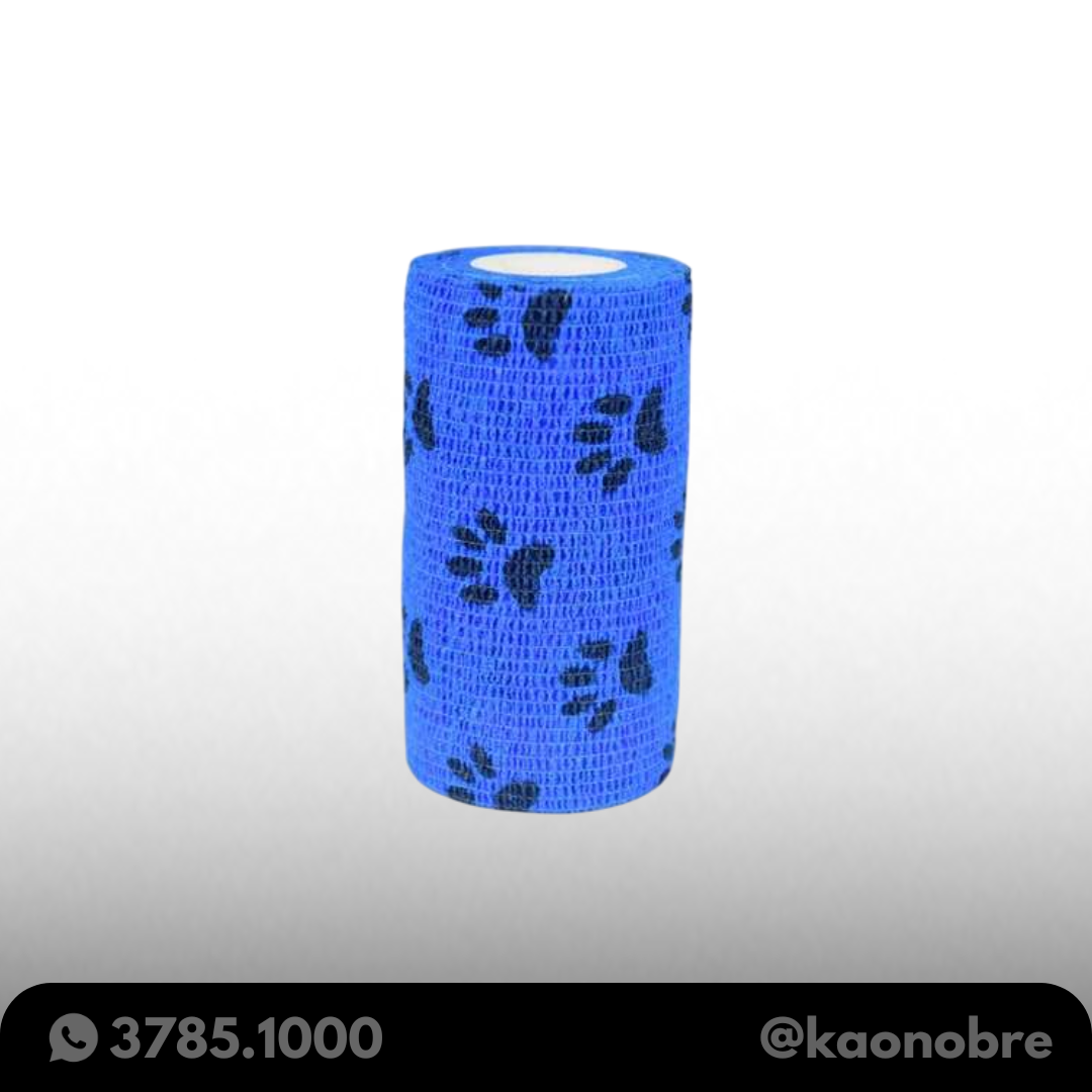 Kaonobre.com.br   2025 02 19t170258.200