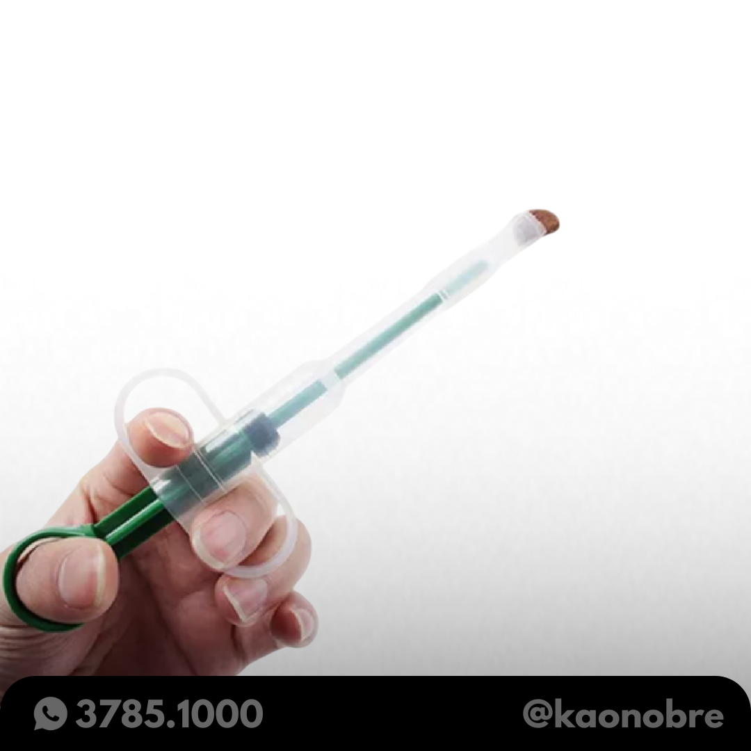 Kaonobre.com.br   2025 02 22t112452.863