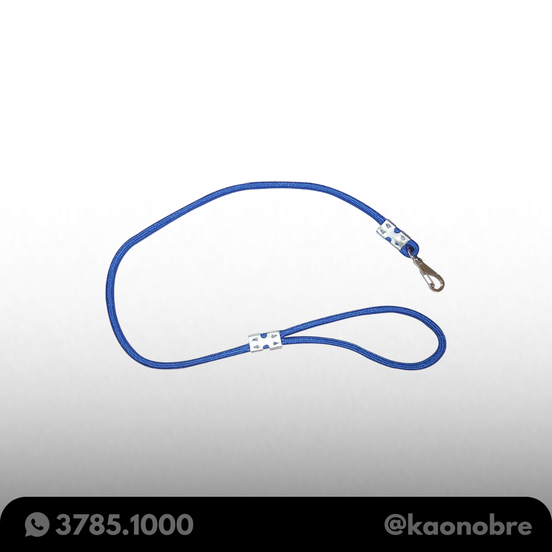 Kaonobre.com.br   2025 02 19t152256.470
