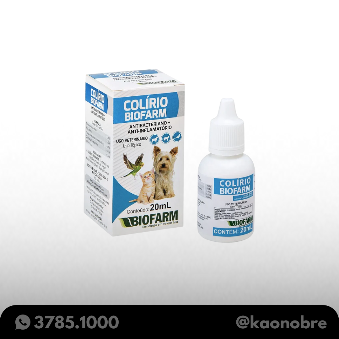 Kaonobre.com.br   2025 02 21t114008.093