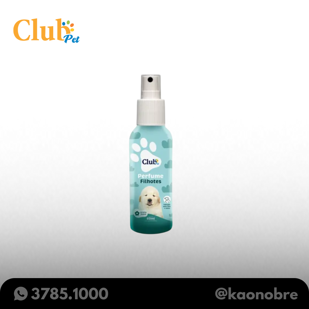 Kaonobre.com.br   2025 02 19t112257.955
