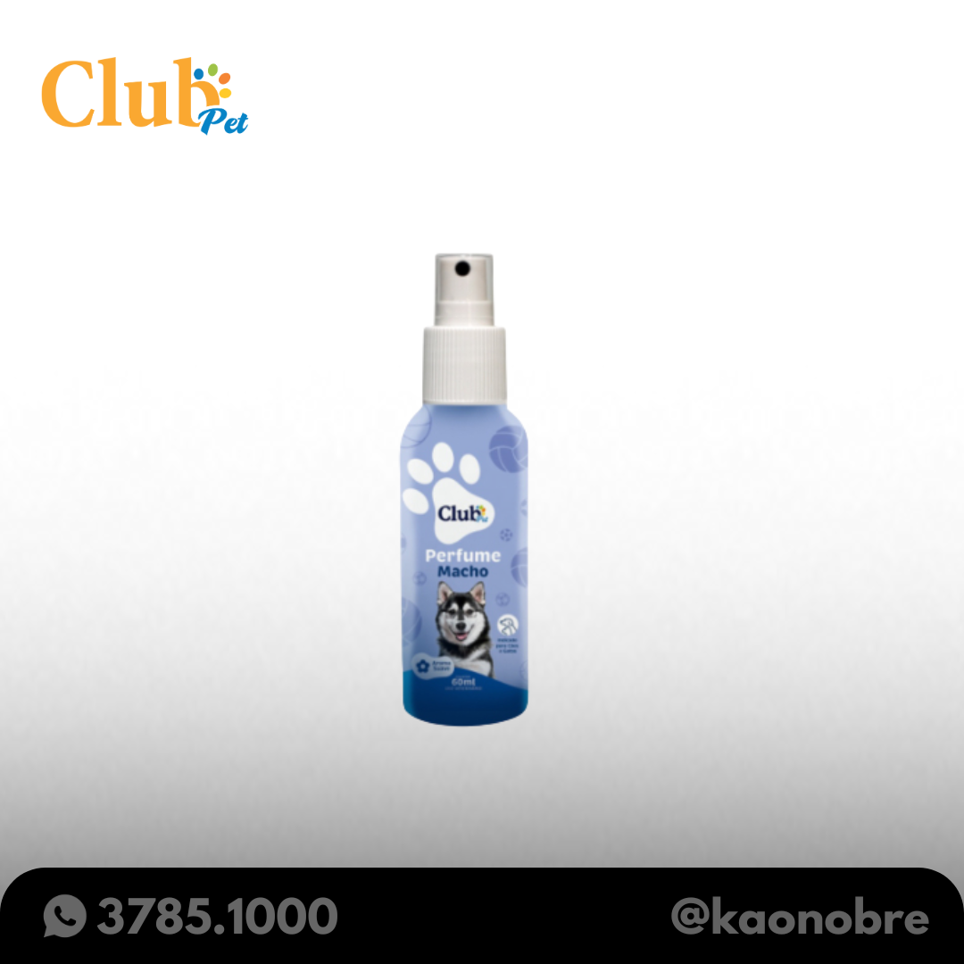 Kaonobre.com.br   2025 02 19t112517.803