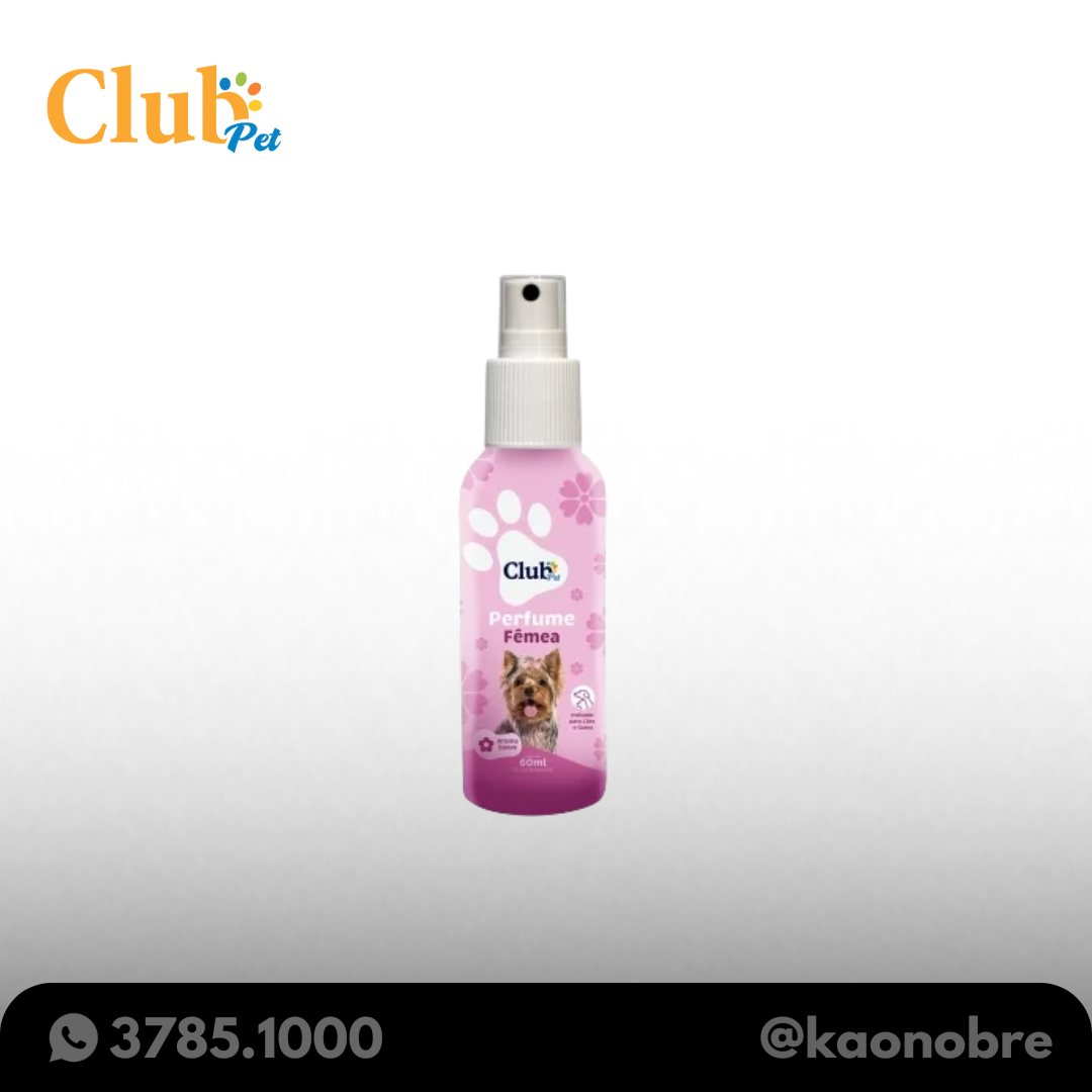 Kaonobre.com.br   2025 02 19t113902.546