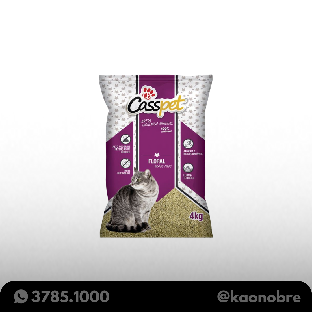 Kaonobre.com.br   2025 02 21t120718.652