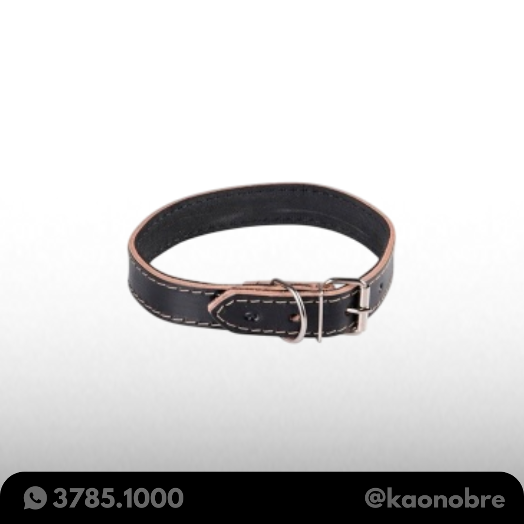 Kaonobre.com.br  58 