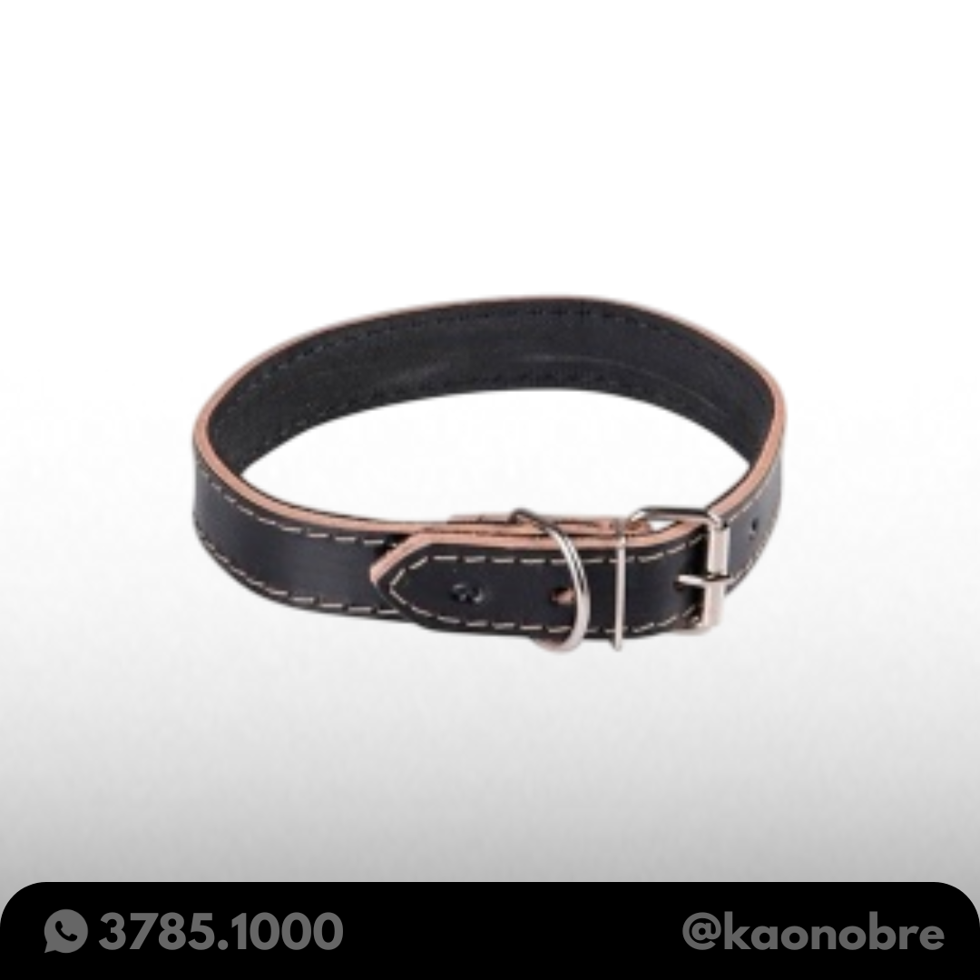 Kaonobre.com.br  59 