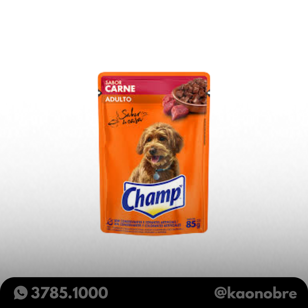 Kaonobre.com.br   2025 02 19t161626.213