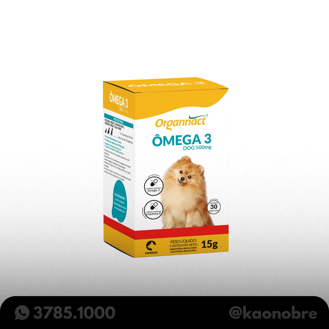 Kaonobre.com.br   2025 02 17t173448.566
