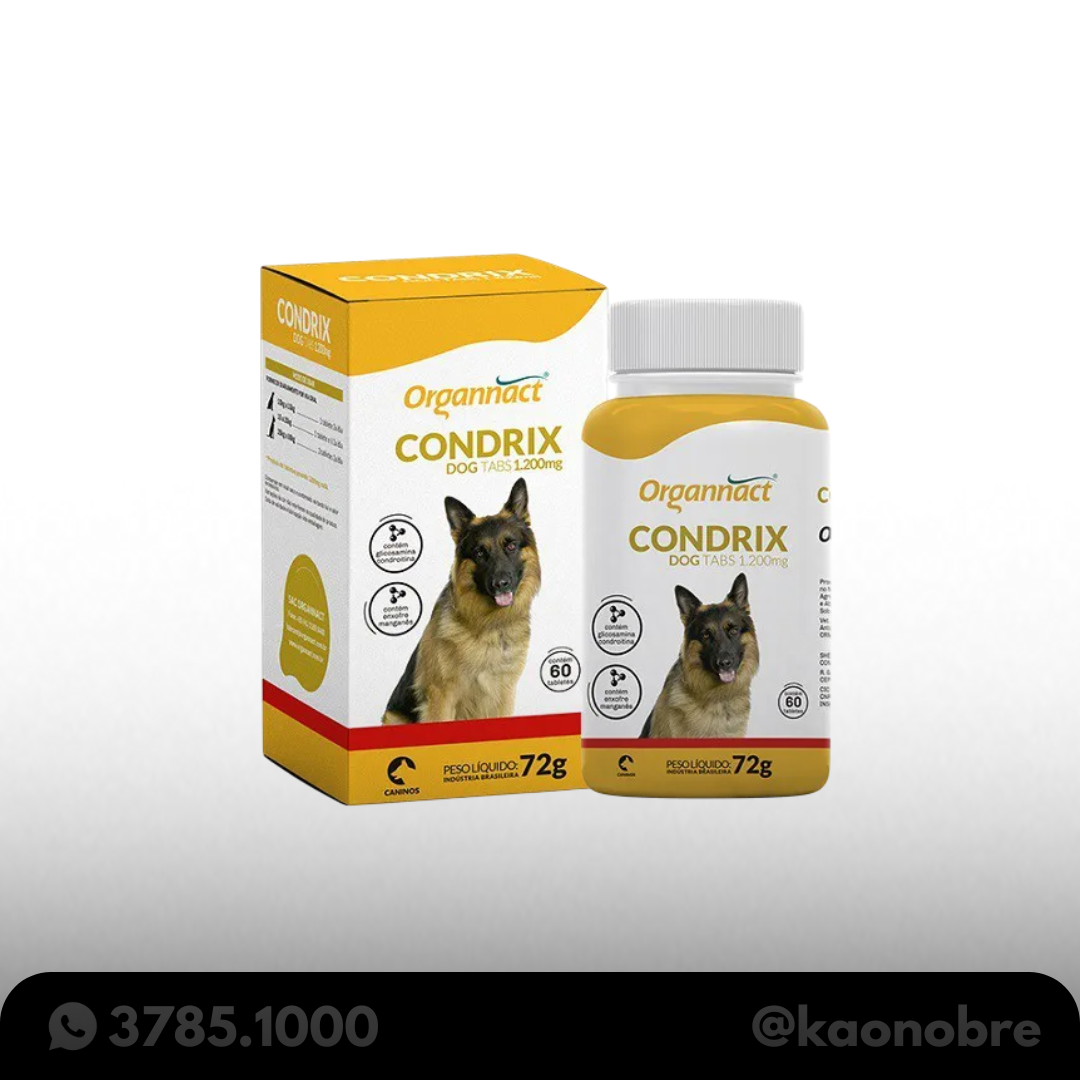 Kaonobre.com.br   2025 02 17t175632.123