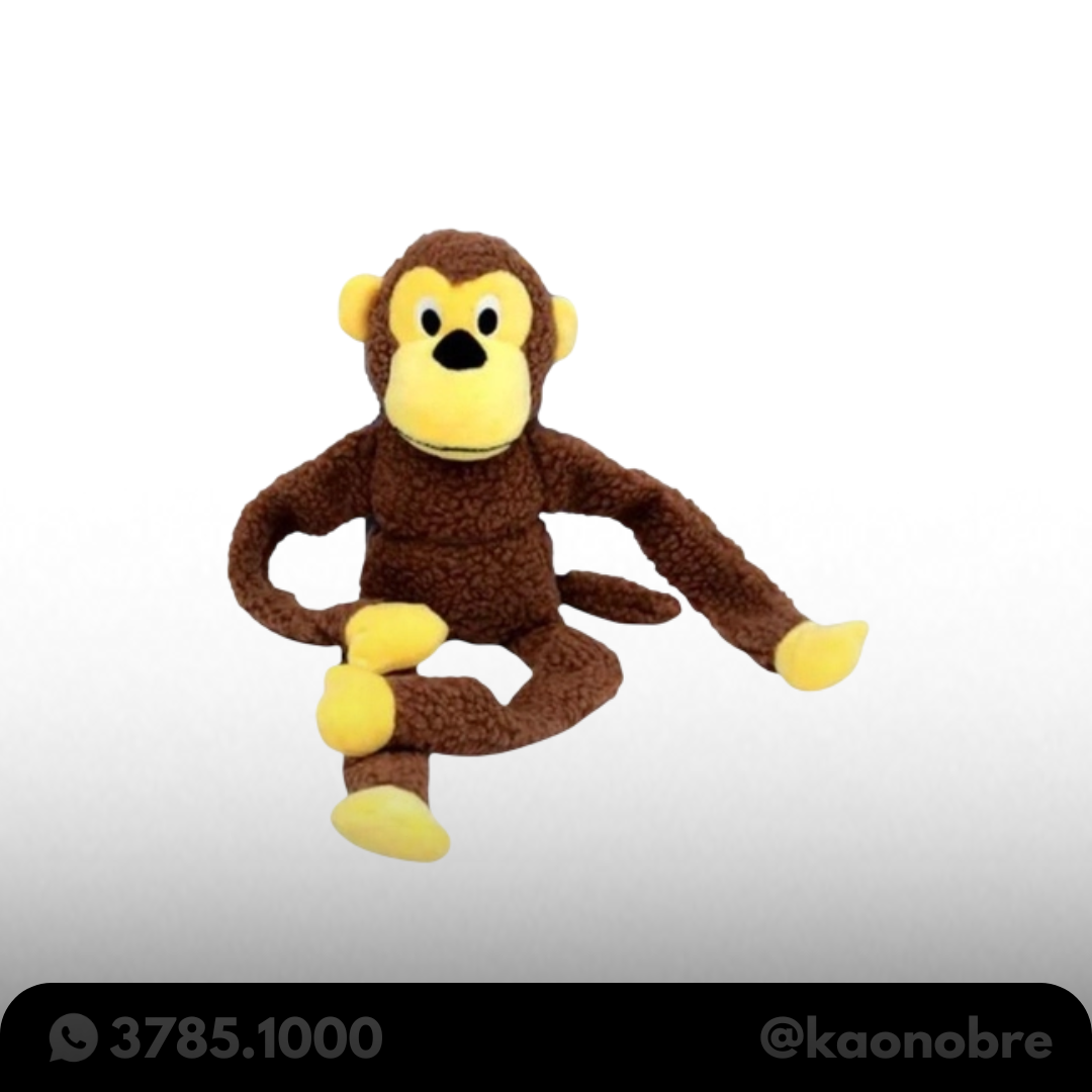 Kaonobre.com.br   2025 02 17t173318.164