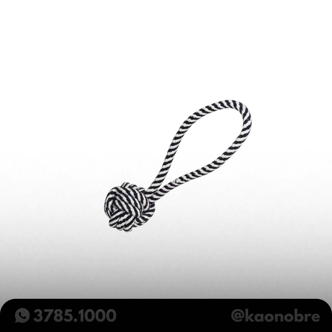 Kaonobre.com.br   2025 02 17t172942.109