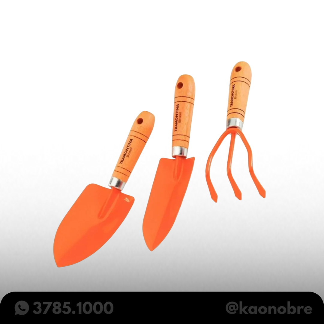 Kaonobre.com.br   2025 02 17t154231.860