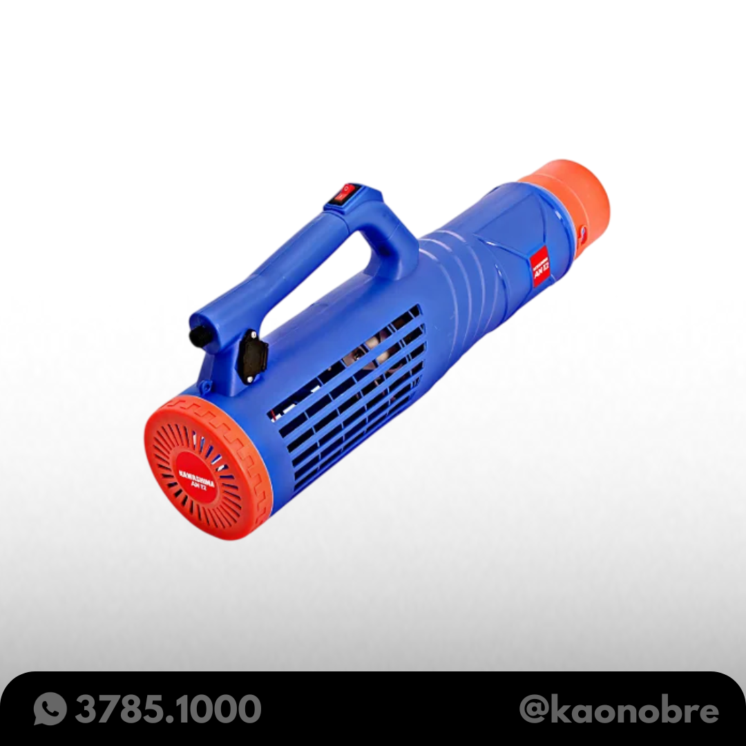 Kaonobre.com.br   2025 05 10t172331.912