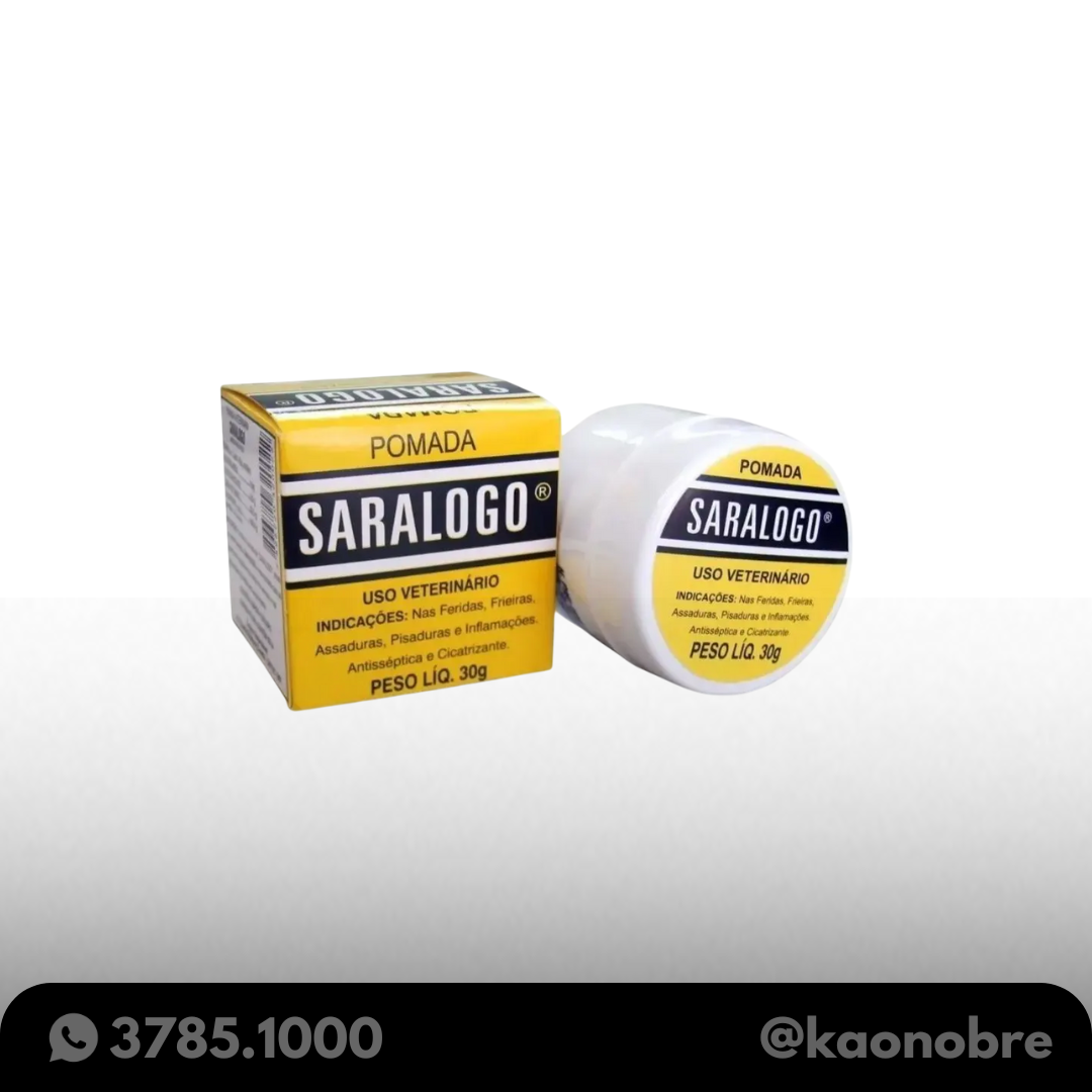 Kaonobre.com.br   2025 02 18t103232.397