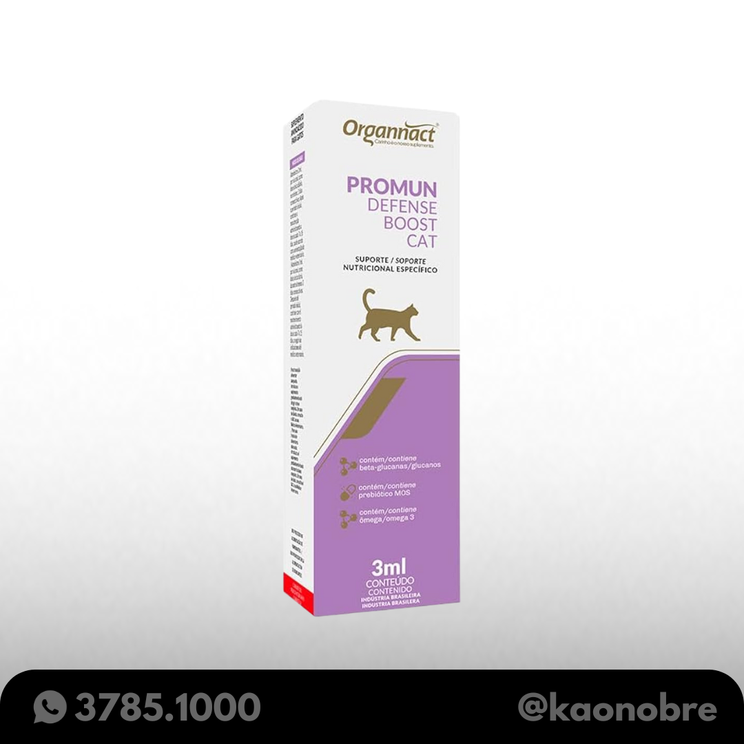 Kaonobre.com.br   2025 04 10t182857.362