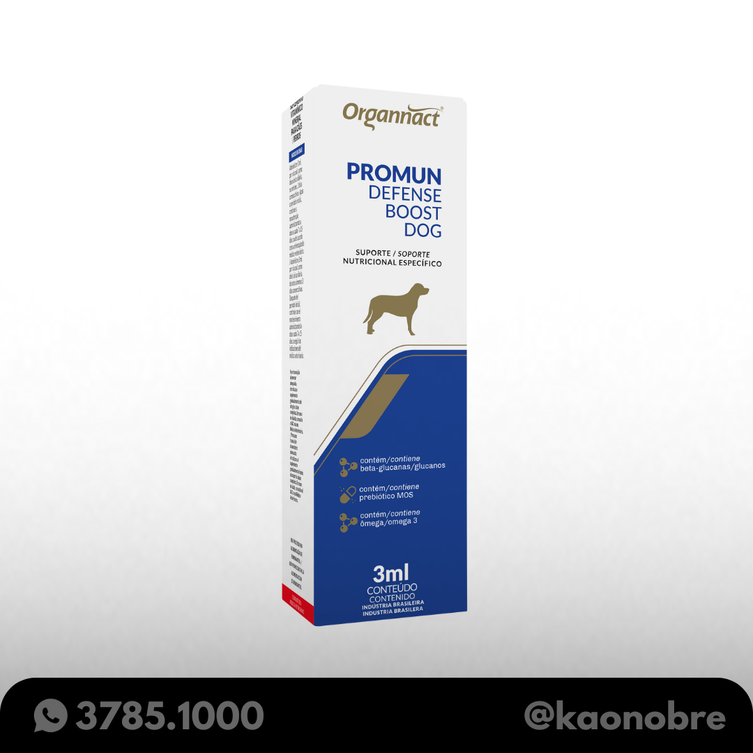 Kaonobre.com.br   2025 04 10t182742.459