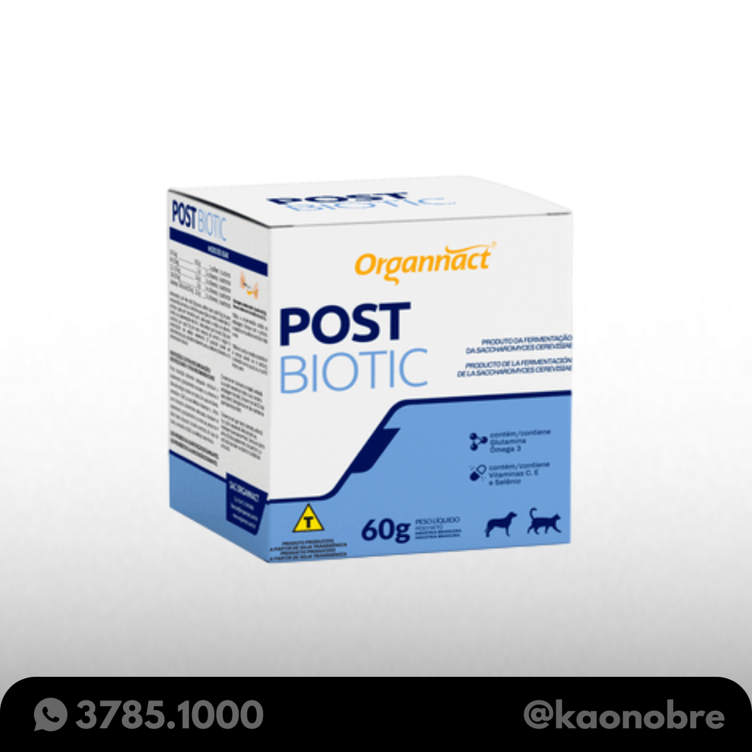 Kaonobre.com.br   2025 04 10t182403.468