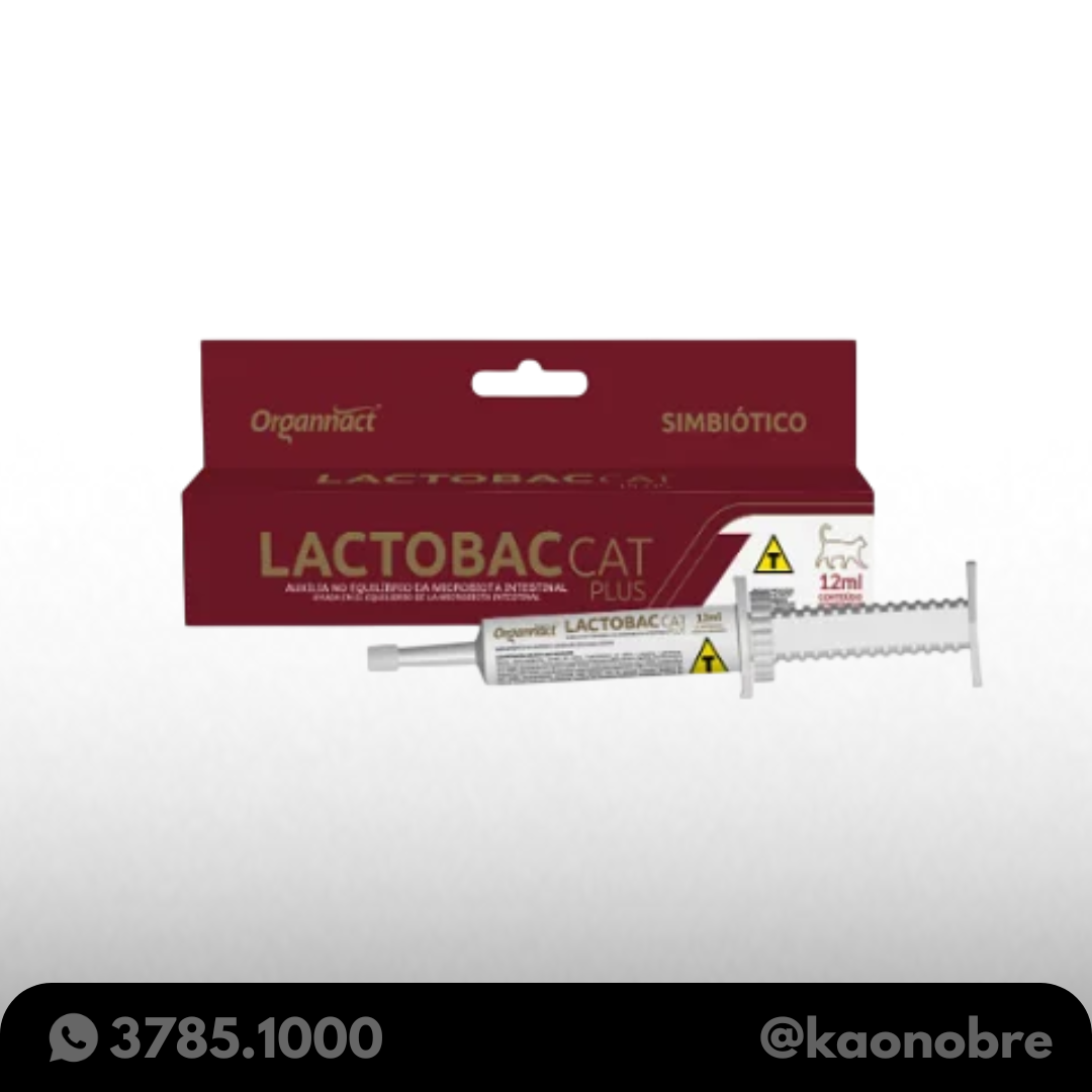 Kaonobre.com.br   2025 05 02t151912.579
