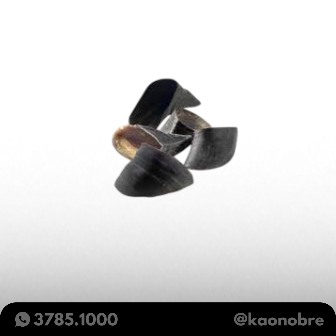 Kaonobre.com.br  31 