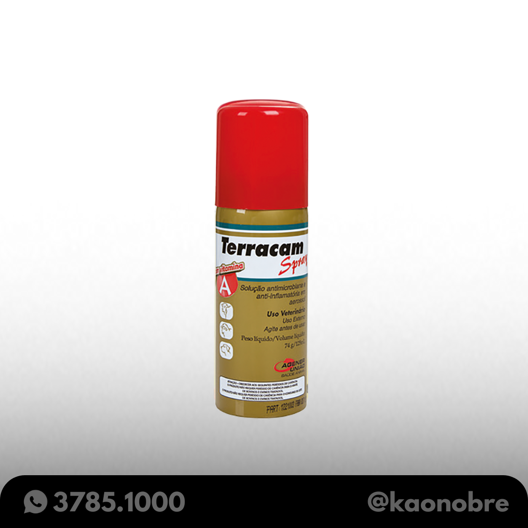 Kaonobre.com.br 2025 02 19t100836.700