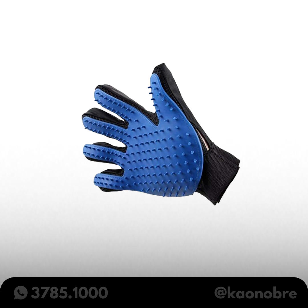 Kaonobre.com.br   2025 02 17t184603.705