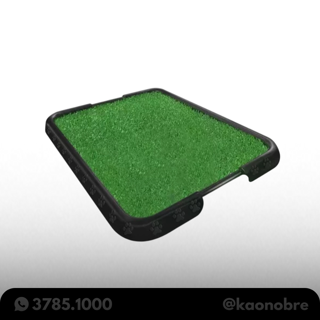 Kaonobre.com.br   2025 02 17t174139.235