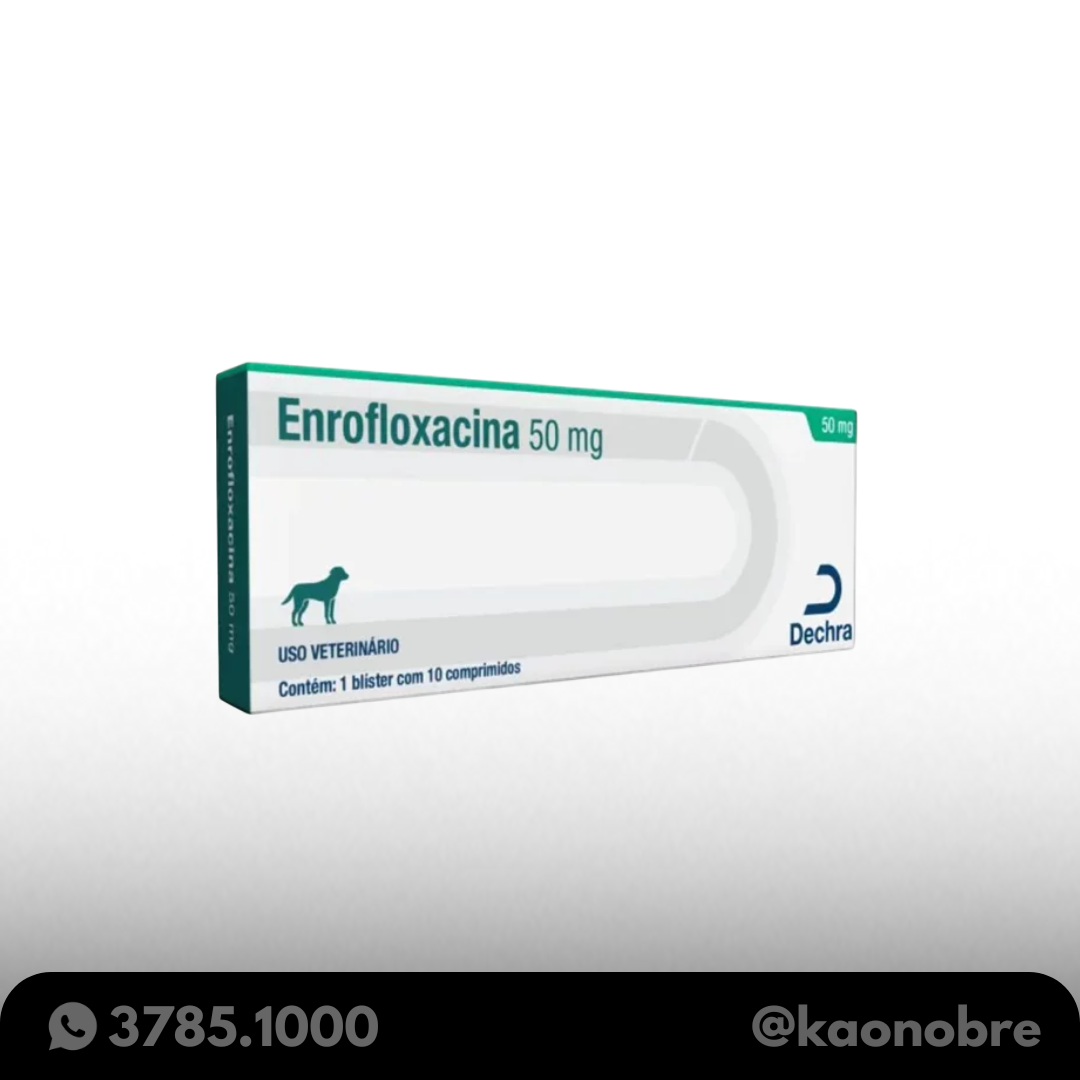Kaonobre.com.br   2025 02 17t103626.118