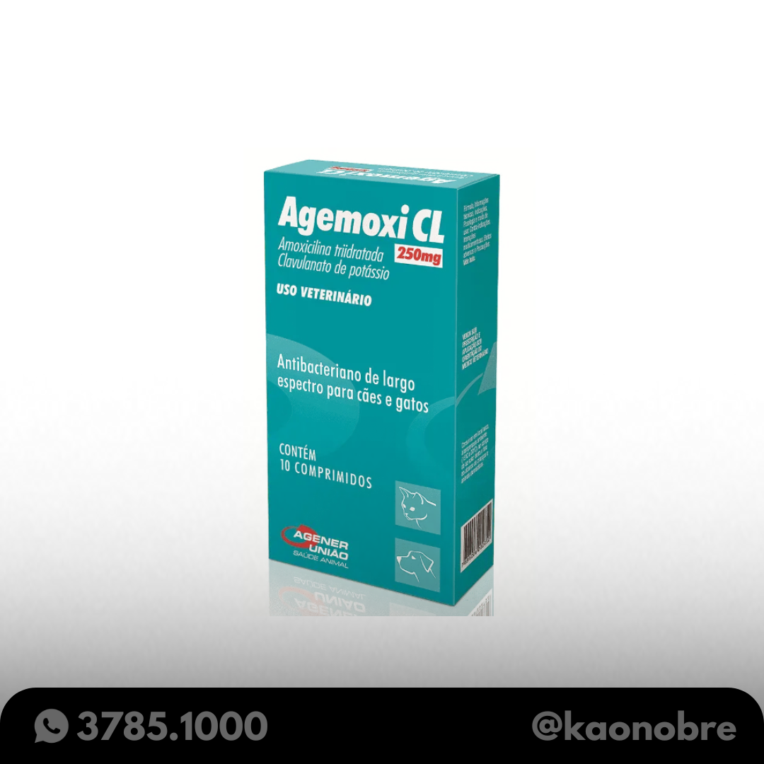 Kaonobre.com.br 2025 02 17t101837.389
