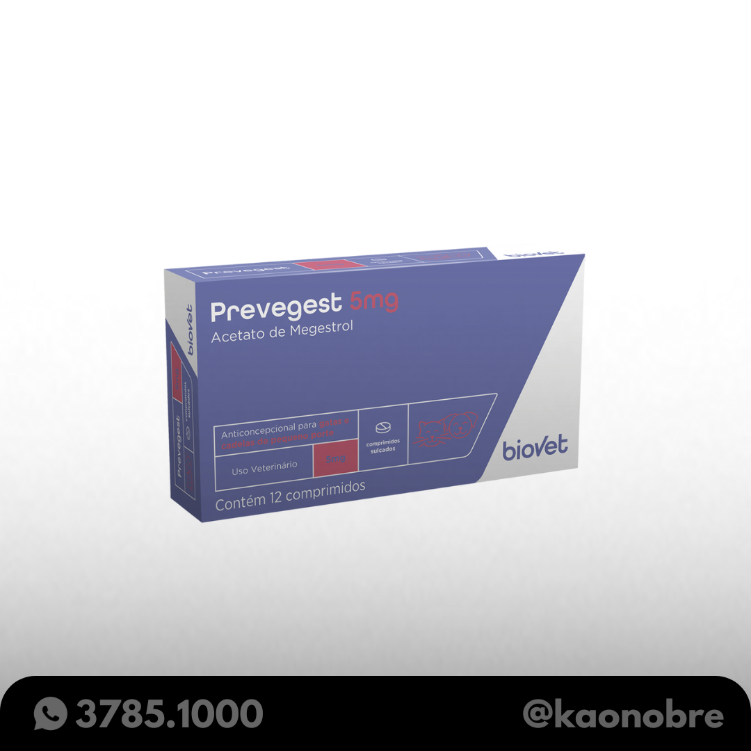 Kaonobre.com.br 2025 02 21t115226.958