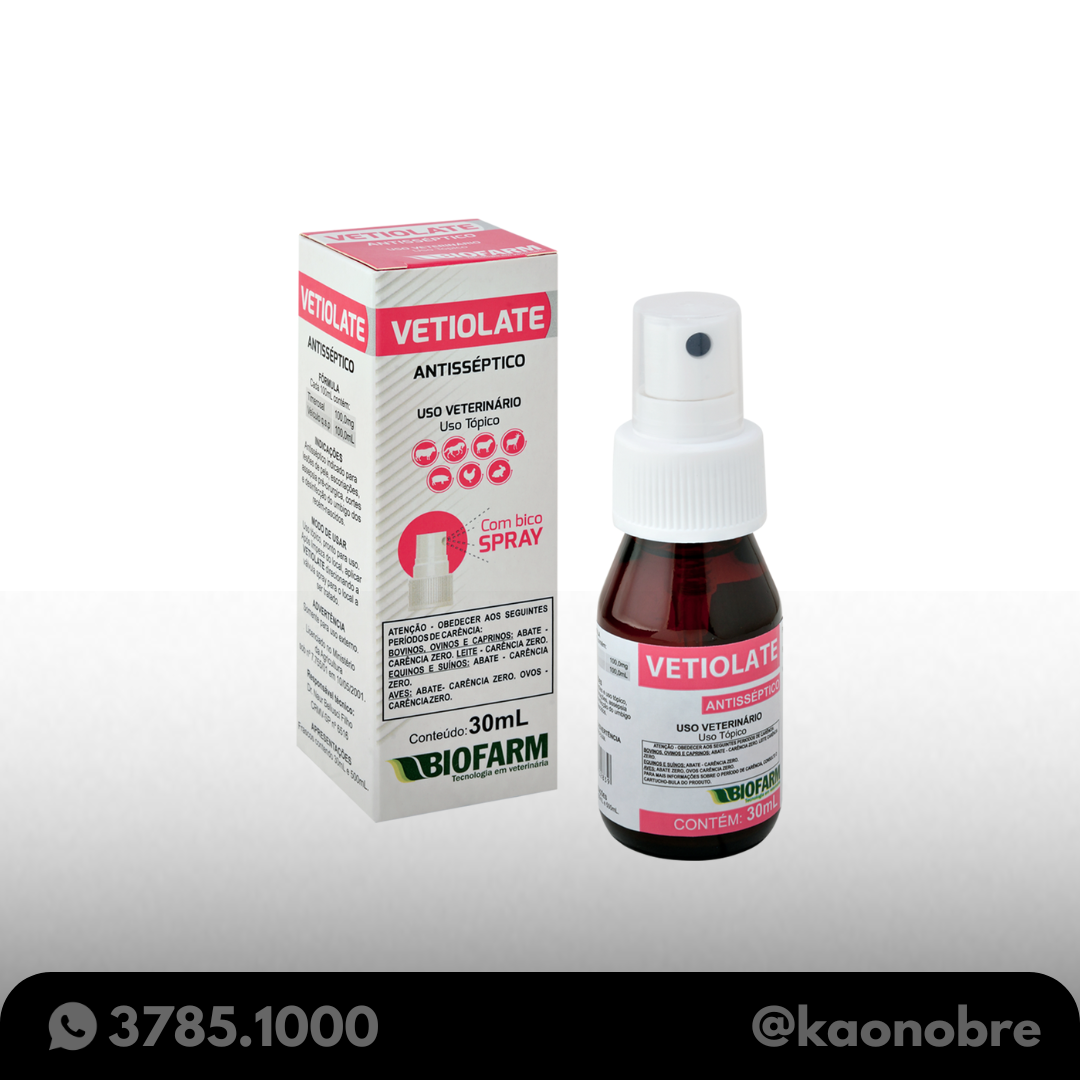 Kaonobre.com.br   2025 02 18t112625.417