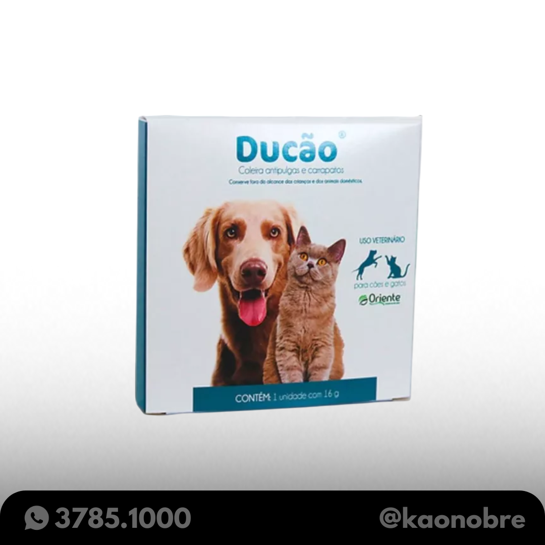 Kaonobre.com.br 2025 02 17t115404.978